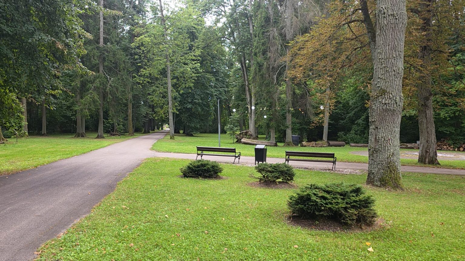 Scenic park pathway surrounded by lush greenery, featuring benches, shrubs, and tall trees, ideal for leisurely walks and relaxation. Scenic park pathway surrounded by lush greenery, featuring benches, shrubs, and tall trees, ideal for leisurely walks and relaxation.
