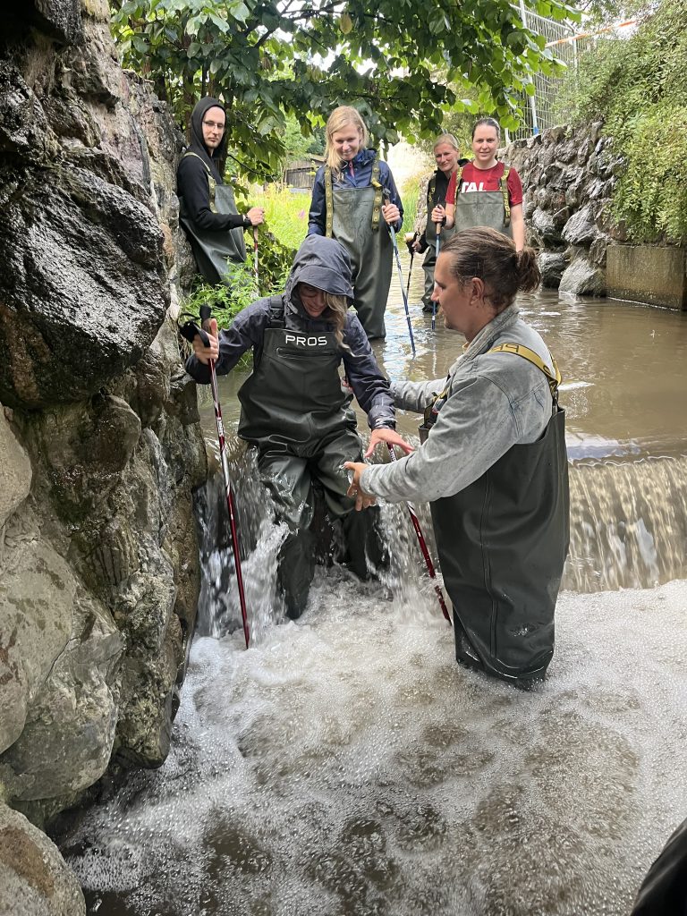 Group of individuals in waders engaging in a water activity in a stream, surrounded by greenery and rocky terrain, with one person assisting another while others observe. Ideal for outdoor adventure and environmental education contexts.