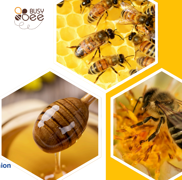 Images of bees and honey spoon and project Busy Bee logo
