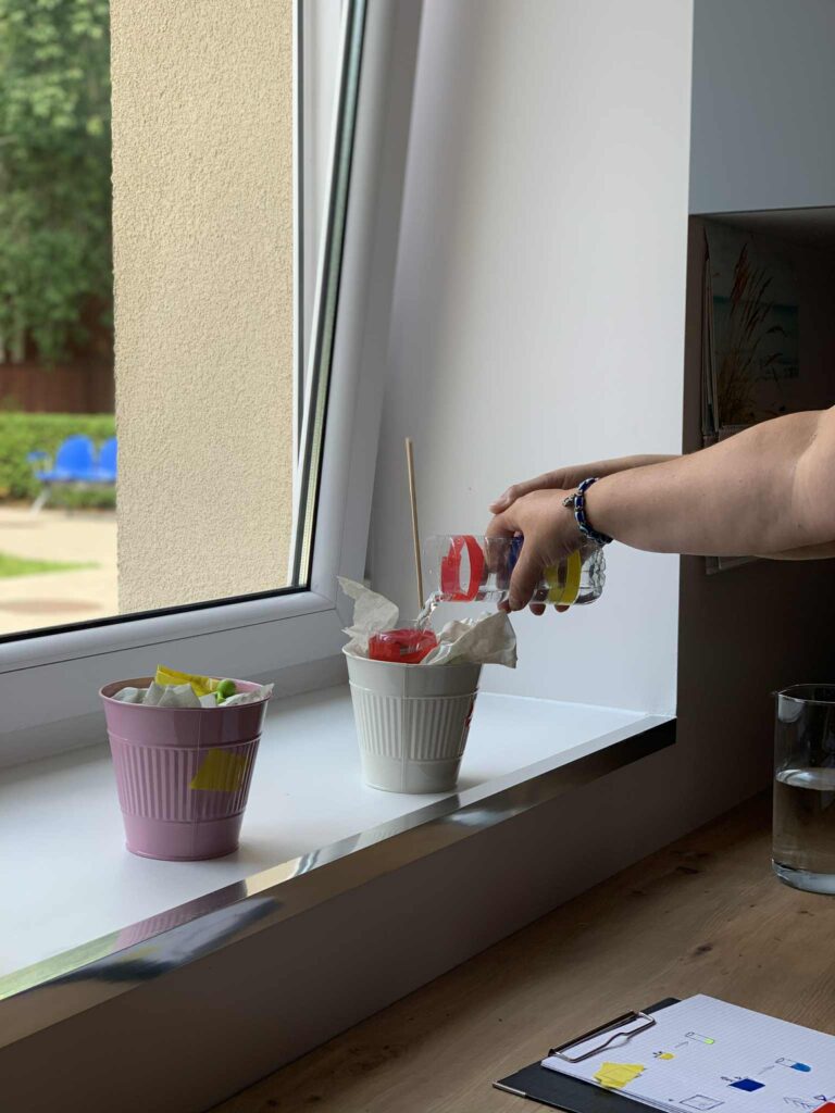 Photo with flower pots on the window