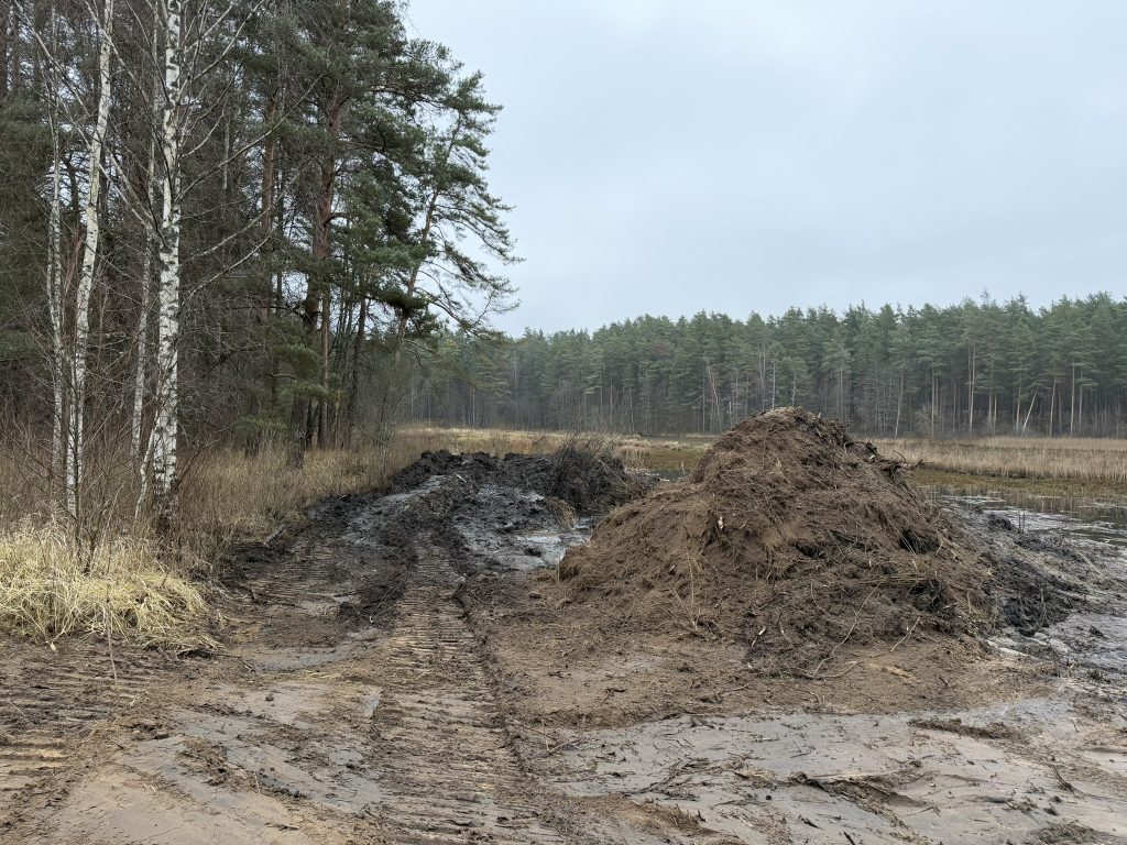 Dirt piles and muddy tracks in a forest clearing, surrounded by trees under a cloudy sky, indicating recent construction or excavation activity. Dirt piles and muddy tracks in a forest clearing, surrounded by trees under a cloudy sky, indicating recent construction or excavation activity.