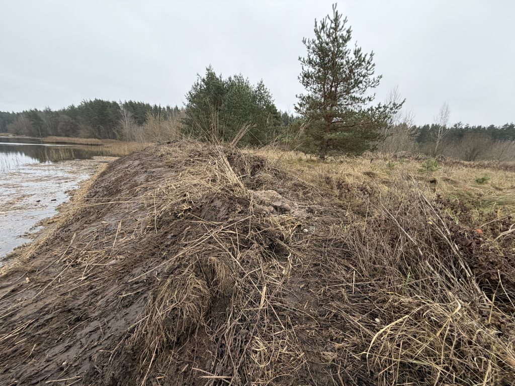 Overgrown embankment with sparse trees and dry vegetation alongside a body of water, under a cloudy sky. Overgrown embankment with sparse trees and dry vegetation alongside a body of water, under a cloudy sky.