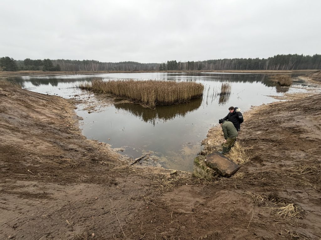 Two individuals standing near a tranquil lake surrounded by muddy banks and tall reeds, with a forested area in the background under a cloudy sky. The scene captures the natural beauty and serenity of the wetland environment. Two individuals standing near a tranquil lake surrounded by muddy banks and tall reeds, with a forested area in the background under a cloudy sky. The scene captures the natural beauty and serenity of the wetland environment.