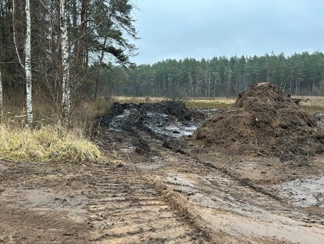 Mud-covered dirt road leading through a forested area with piles of earth on the side, indicating recent construction or excavation activities. Mud-covered dirt road leading through a forested area with piles of earth on the side, indicating recent construction or excavation activities.