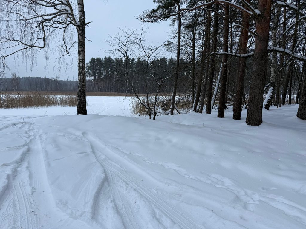 Snow-covered landscape with trees lining a frozen lake, featuring ski tracks in the fresh snow, creating a serene winter scene. Snow-covered landscape with trees lining a frozen lake, featuring ski tracks in the fresh snow, creating a serene winter scene.
