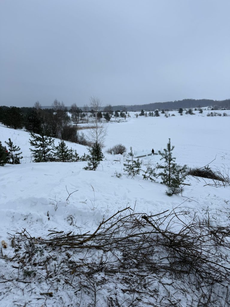 Winter landscape featuring a snowy field with scattered evergreen trees and a cloudy sky, creating a serene and tranquil atmosphere. Winter landscape featuring a snowy field with scattered evergreen trees and a cloudy sky, creating a serene and tranquil atmosphere.