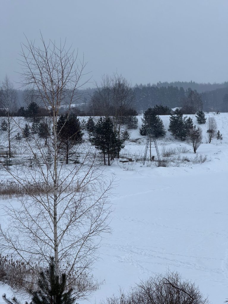 Winter landscape featuring a snowy field with scattered evergreen trees and a gray sky, creating a serene and tranquil atmosphere. Winter landscape featuring a snowy field with scattered evergreen trees and a gray sky, creating a serene and tranquil atmosphere.