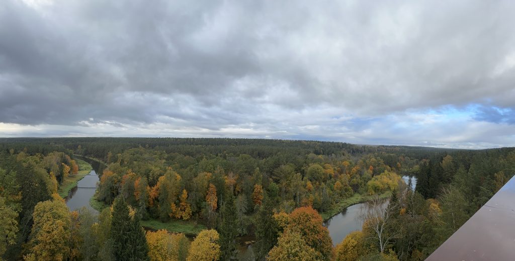 Panoramic view of a lush forest with autumn foliage in shades of orange and yellow, alongside a winding river under a cloudy sky.