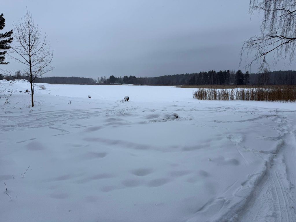 Snow-covered landscape with a frozen lake, surrounded by trees and a cloudy sky. Winter scenery showcasing untouched snow and natural beauty. Snow-covered landscape with a frozen lake, surrounded by trees and a cloudy sky. Winter scenery showcasing untouched snow and natural beauty.