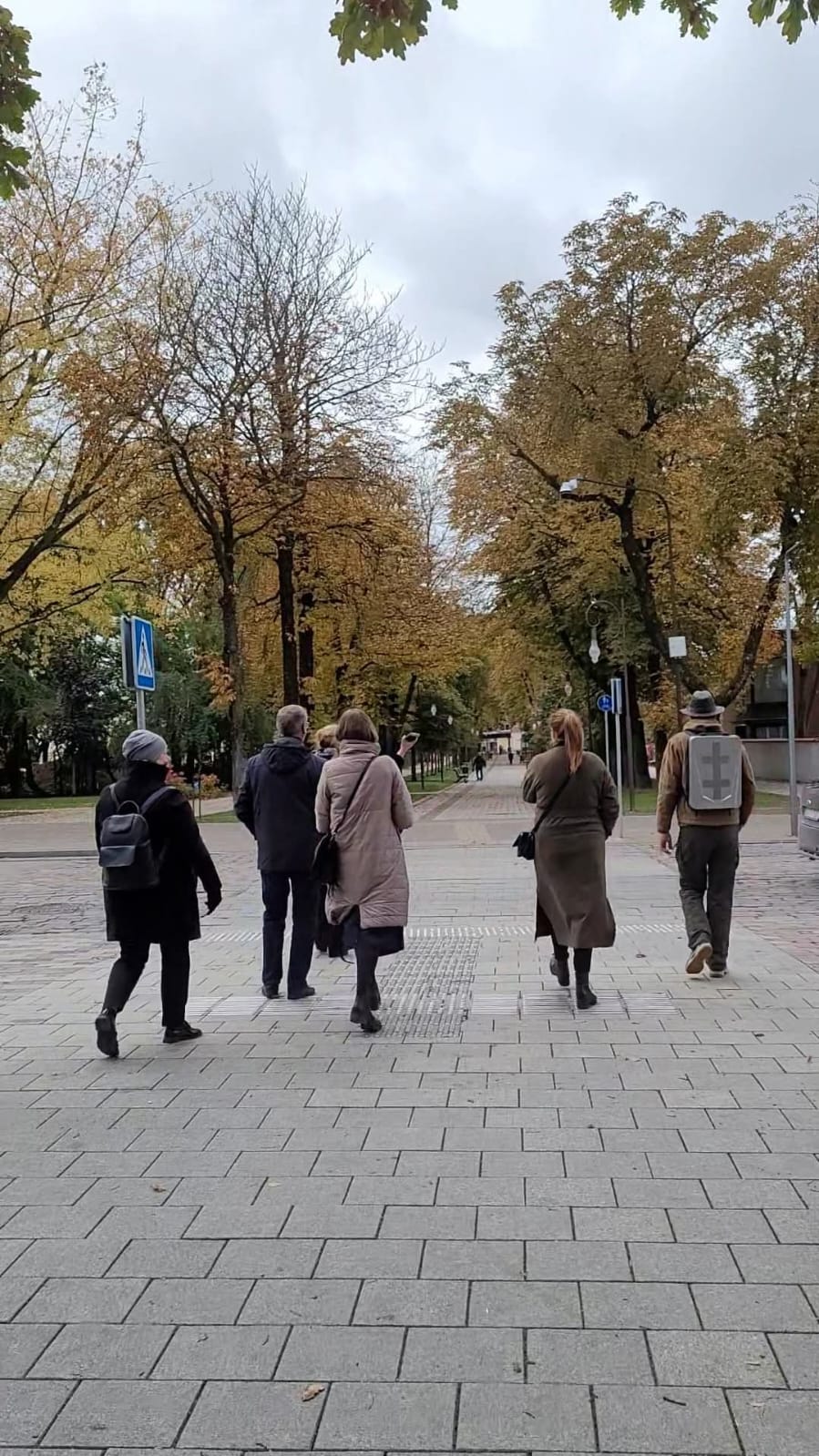 Group of people walking on a tree-lined street during autumn, with colorful leaves and cloudy skies in the background. The scene captures a leisurely stroll in an urban park setting, showcasing the beauty of fall foliage.