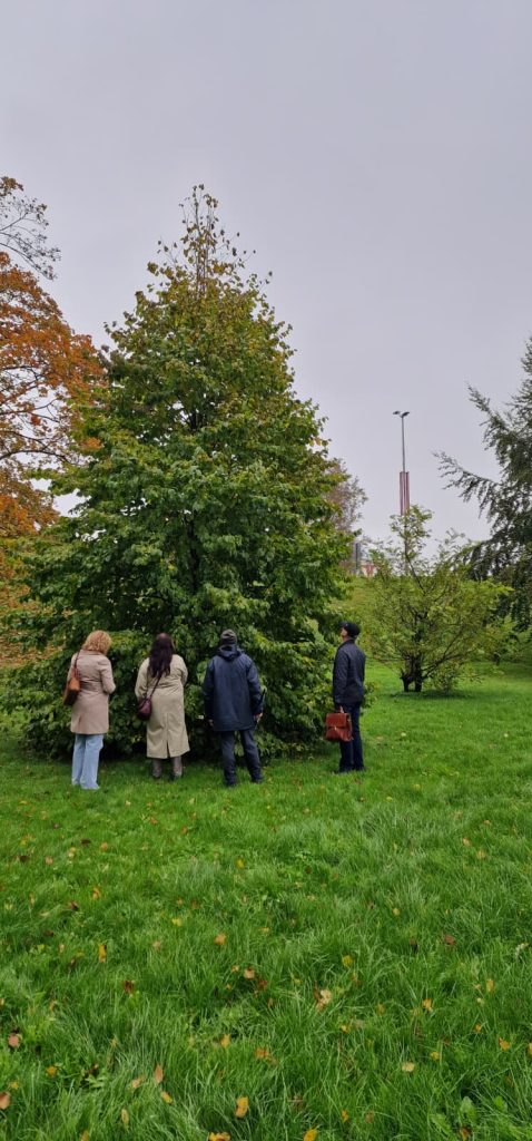 Group of four people examining a tree in a park during an overcast day, surrounded by green grass and autumn foliage.