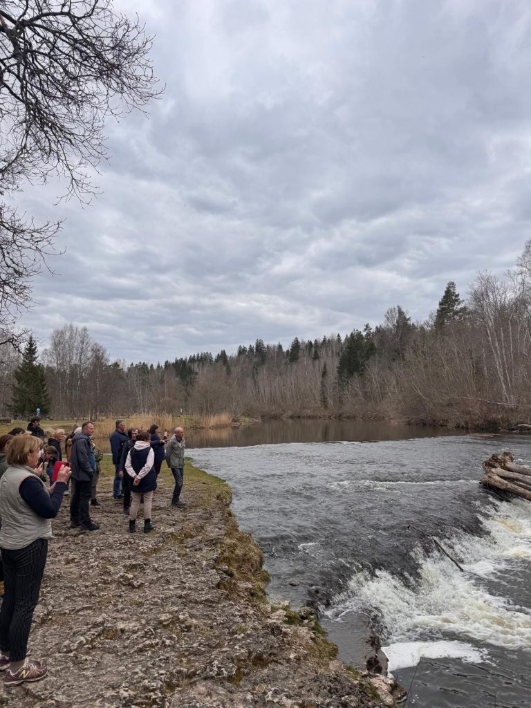 Group of people gathered by a riverbank, observing the flowing water and surrounding nature under a cloudy sky. The scene features trees in the background and a rocky shoreline, highlighting a serene outdoor setting.