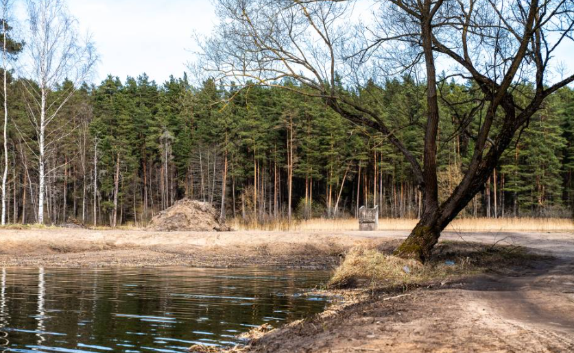 Serene landscape featuring a calm water body beside a dirt path, surrounded by a dense forest of pine trees and bare branches. A small mound of earth is visible in the background, adding to the natural setting. Ideal for nature photography or outdoor exploration themes.