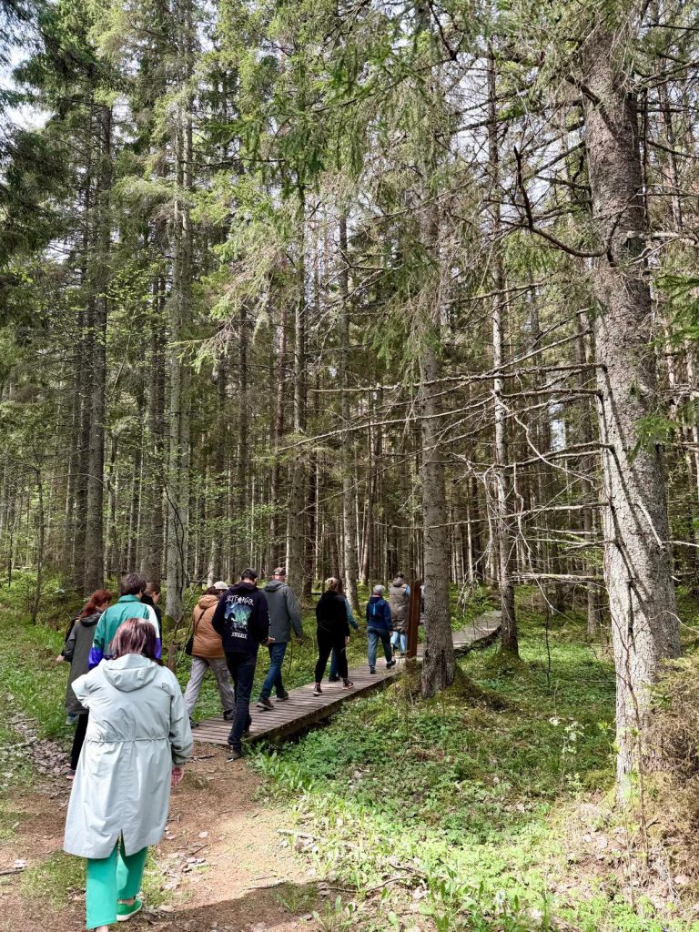 Group of hikers walking on a wooden path through a lush green forest, surrounded by tall trees and vibrant foliage, enjoying nature and outdoor exploration.