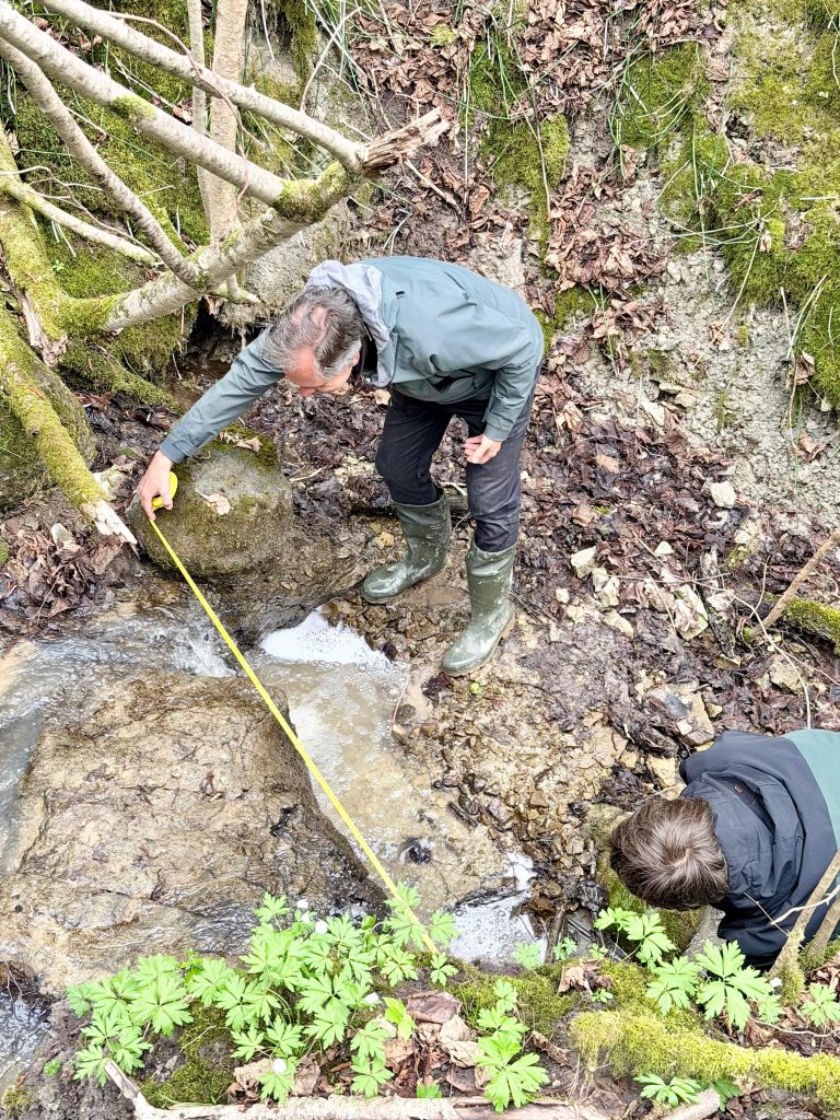 Two individuals conduct field research near a stream, measuring the water's depth with a tape measure. One person stands on the bank, while the other crouches closer to the water, surrounded by lush greenery and leaf litter.