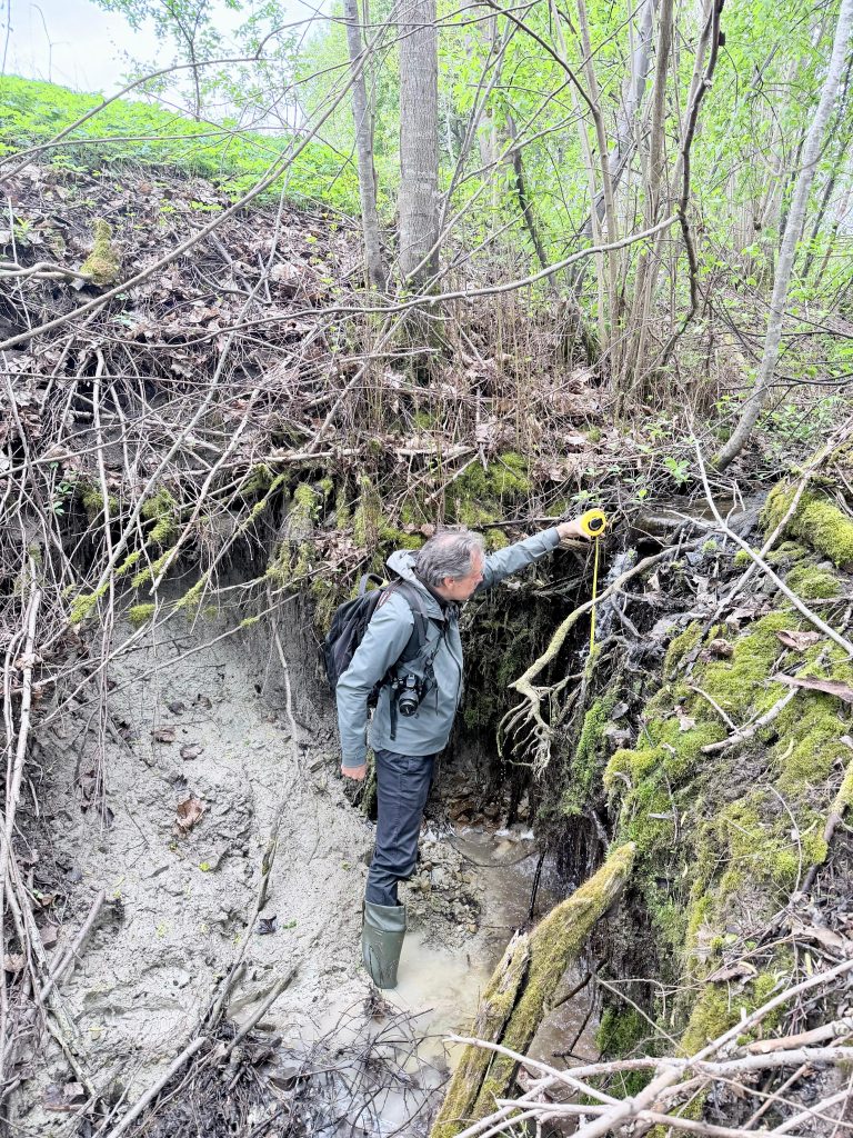 A researcher in rubber boots examines a muddy area in a forested environment, surrounded by trees and underbrush, while holding a measuring device. The scene captures the natural habitat and highlights environmental study practices.