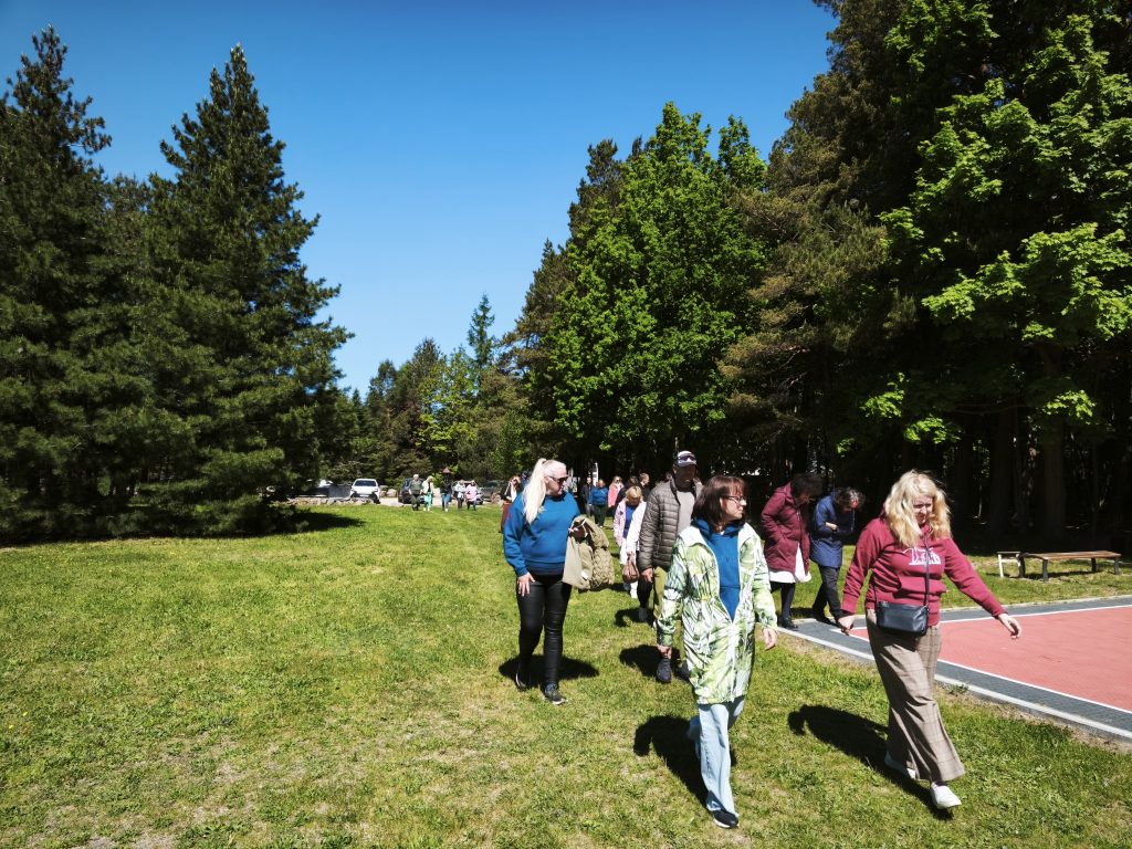 Group of people walking on a sunny day in a green park, surrounded by tall trees and clear blue skies, enjoying outdoor activities and nature.