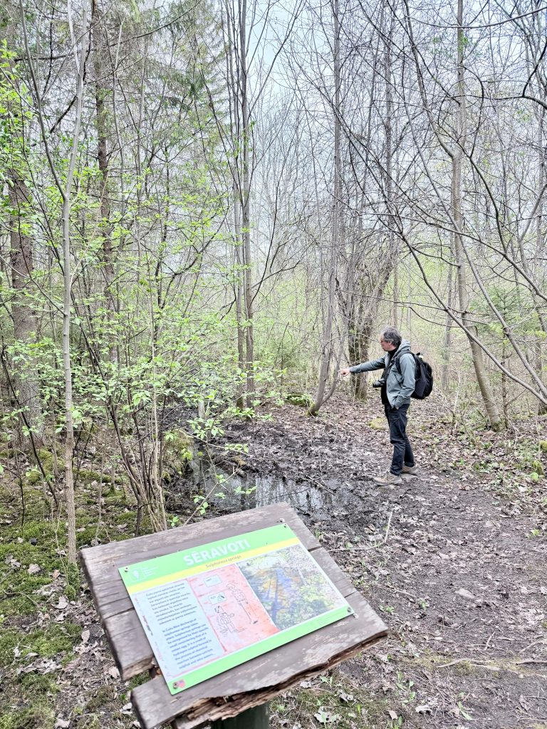 Person exploring a forest trail with a signboard labeled "Séravoti" detailing local wildlife and nature information, surrounded by budding trees and a muddy pathway.