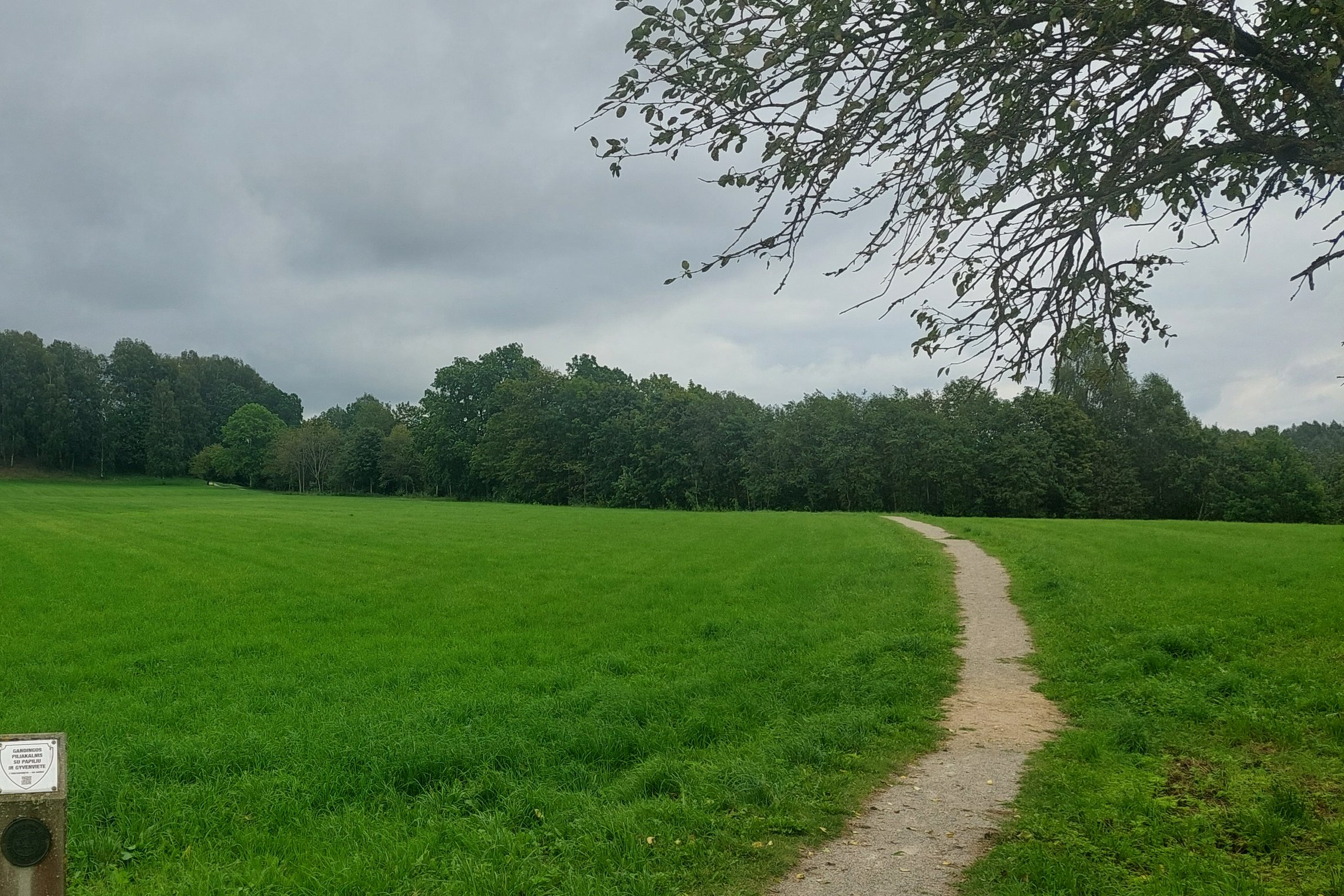 Lush green field with a winding dirt path leading through trees under a cloudy sky, ideal for outdoor activities and nature walks. Lush green field with a winding dirt path leading through trees under a cloudy sky, ideal for outdoor activities and nature walks.