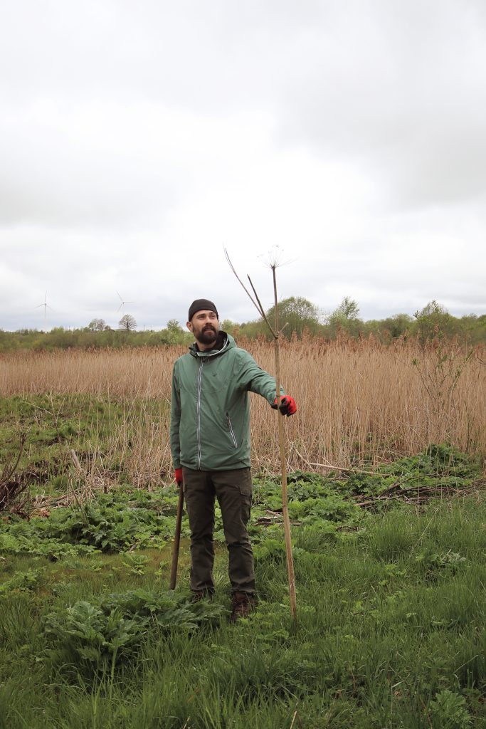 Person standing in a grassy field holding a stick, surrounded by tall reeds and wind turbines in the background, dressed in a green jacket and gloves, on a cloudy day.