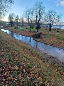  The moat of Biržai Castle after cleaning