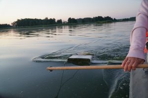 A person fishing from a boat at sunset, using a fishing net to catch fish in a calm lake with rippling water and lush greenery in the background.