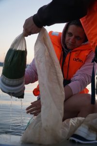 A researcher in an orange life jacket carefully pours water from a bag containing green algae while sitting on a boat during sunrise. The scene captures the importance of marine biology and environmental research.
