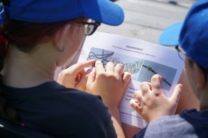 Children exploring nature by examining a guidebook about Dolichospermum, focusing on images and descriptions of aquatic plants, while wearing blue hats and sitting outdoors.
