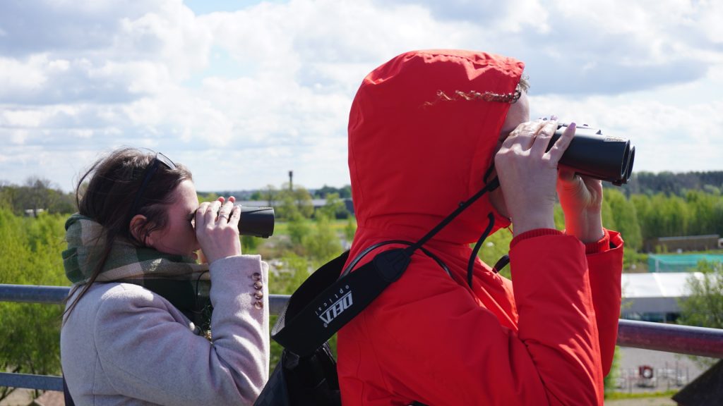 Two project partners using binoculars to observe the Klaipėda region, showcasing their engagement with the BIRDIE project results on a sunny day.