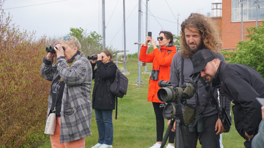 Participants in the Klaipėda Region observe birdlife using binoculars and spotting scopes during the BIRDIE project results exploration event.