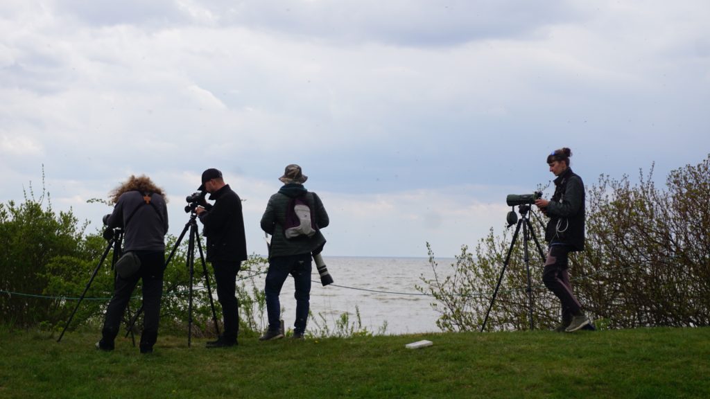 Participants observing the Klaipėda region's coastal landscape with binoculars and cameras during the BIRDIE project results exploration event.