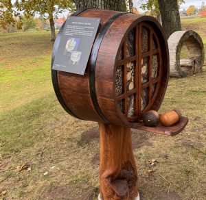 A competition for students to select the best insect hotel design was organized. Based on the winning design, large insect hotels were subsequently produced constructed by local folk artists Gražina and Gintautas Andrukėnai
