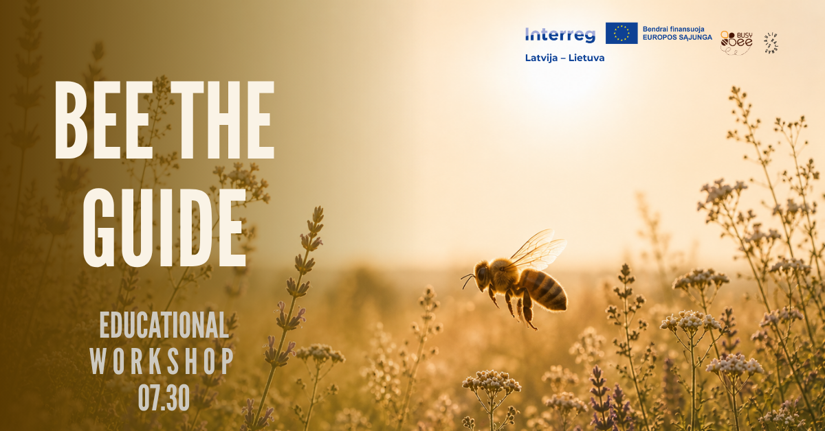 Close-up of a bee flying over wildflowers in a sunlit field, promoting the "Bee the Guide" educational workshop. Event details include time at 07:30 and involvement with Interreg Latvia-Lithuania.
