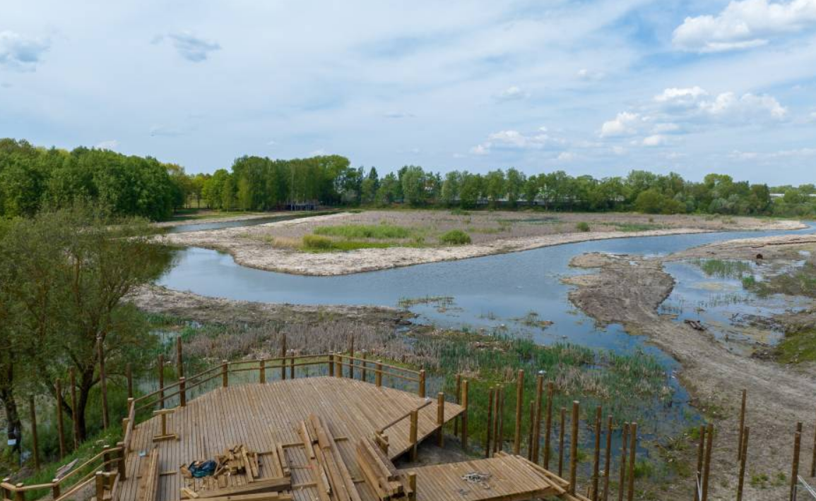 Aerial view of a serene river winding through lush greenery, with a wooden deck in the foreground and a sandy bank visible, showcasing the natural landscape and habitat restoration efforts.