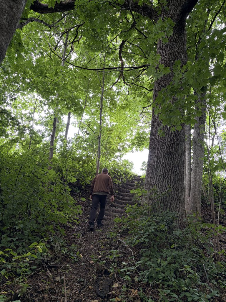 Person walking up a dirt path surrounded by lush green foliage and tall trees in Mažeikiai District, highlighting the area's geological features and natural beauty. Person walking up a dirt path surrounded by lush green foliage and tall trees in Mažeikiai District, highlighting the area's geological features and natural beauty.