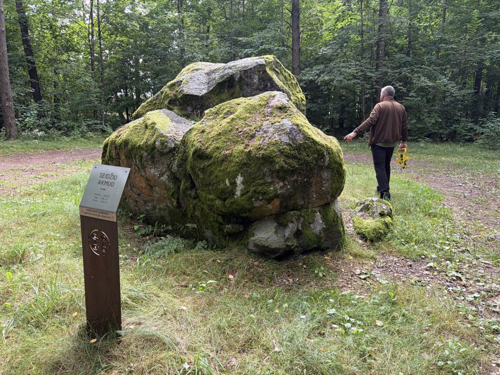 Man walking past a large moss-covered boulder in a forested area of Mažeikiai District, with an informational plaque titled "Geidžių Akmuo" detailing geological features and coordinates. Man walking past a large moss-covered boulder in a forested area of Mažeikiai District, with an informational plaque titled "Geidžių Akmuo" detailing geological features and coordinates.