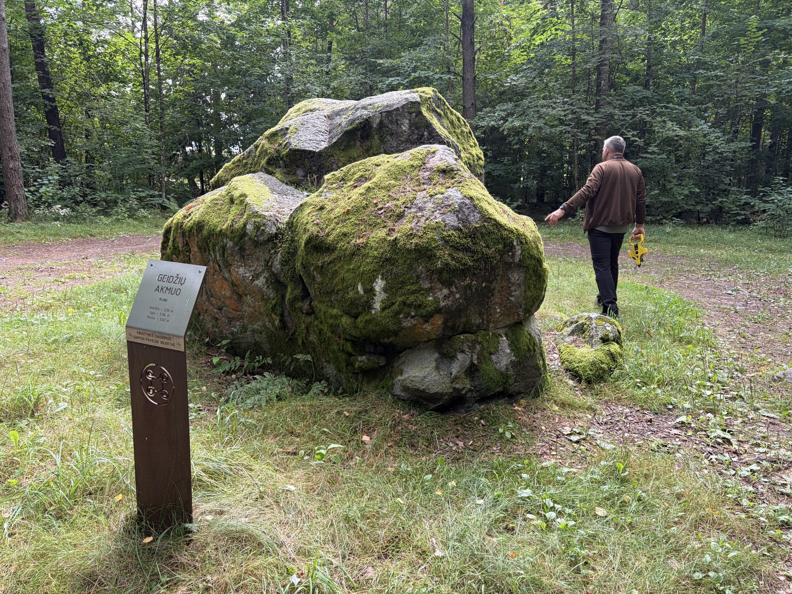 Man walking past a large moss-covered boulder in a forested area of Mažeikiai District, with an informational plaque titled "Geidžių Akmuo" detailing geological features and coordinates. Man walking past a large moss-covered boulder in a forested area of Mažeikiai District, with an informational plaque titled "Geidžių Akmuo" detailing geological features and coordinates.