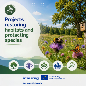 Image depicting projects focused on restoring natural habitats and protecting species, featuring a vibrant landscape with flowers, a bee, and a butterfly. Includes logos for Interreg and the European Union, emphasizing collaboration between Latvia and Lithuania.