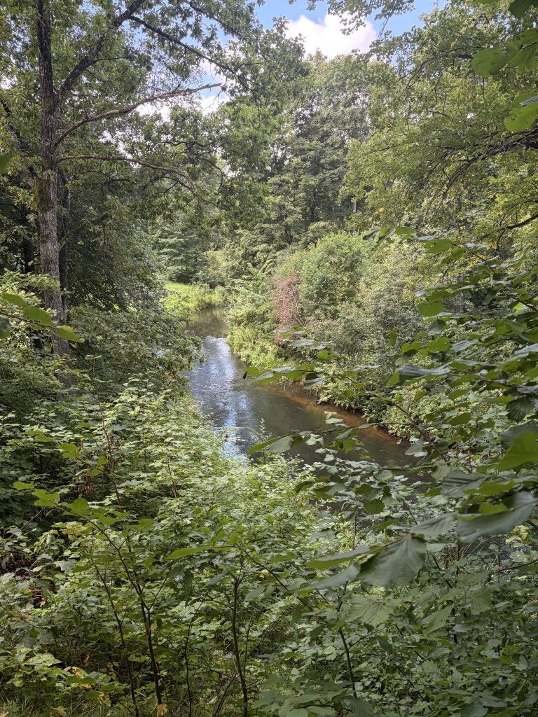 Lush green landscape in Mažeikiai District, featuring a serene river surrounded by dense foliage and trees, showcasing the area's geological diversity and natural beauty. Lush green landscape in Mažeikiai District, featuring a serene river surrounded by dense foliage and trees, showcasing the area's geological diversity and natural beauty.