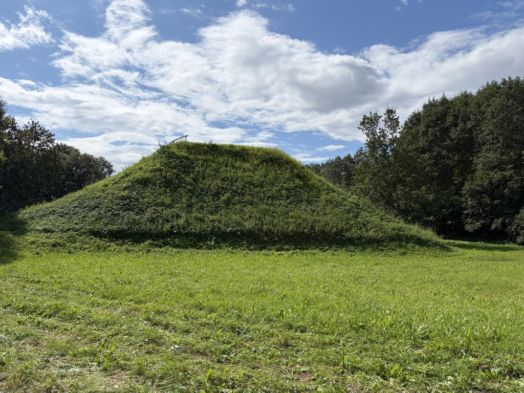 Mound covered in grass and vegetation in Mažeikiai District, surrounded by green fields and trees under a partly cloudy sky. Mound covered in grass and vegetation in Mažeikiai District, surrounded by green fields and trees under a partly cloudy sky.