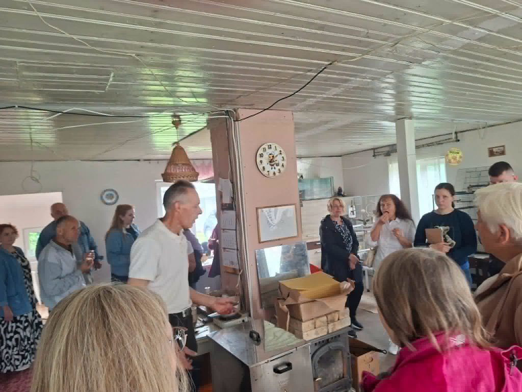 Participants engaged in an educational workshop on "Bee Therapy," featuring a speaker demonstrating techniques in a cozy, well-lit indoor space with various attendees observing and interacting.