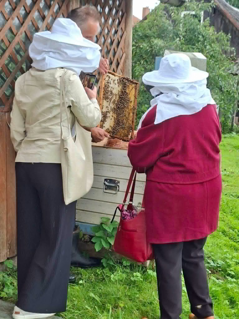 Participants in an educational workshop on "Bee Therapy" observe a beekeeper examining a honeycomb filled with bees, while wearing protective headgear in a garden setting.