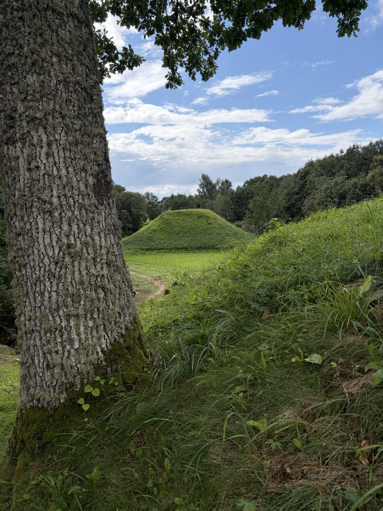 View of a grassy mound in the Mažeikiai District, framed by a tree trunk and lush greenery, under a partly cloudy sky. This image highlights geological features relevant to the inventory of geological objects in the area. View of a grassy mound in the Mažeikiai District, framed by a tree trunk and lush greenery, under a partly cloudy sky. This image highlights geological features relevant to the inventory of geological objects in the area.