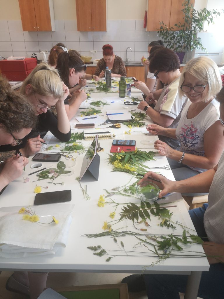 Participants engaged in a hands-on educational workshop, exploring nature through plant specimen collection and analysis, as part of the Green Stories Project. The table is filled with various leaves and flowers, with individuals using tools and technology to document their findings. Participants engaged in a hands-on educational workshop, exploring nature through plant specimen collection and analysis, as part of the Green Stories Project. The table is filled with various leaves and flowers, with individuals using tools and technology to document their findings.