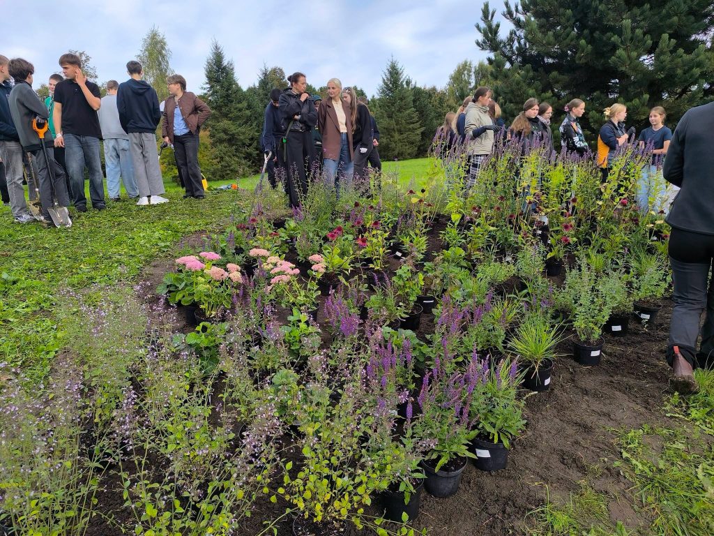 Students participating in a community gardening project at the Bee Garden in the Youth Garden, surrounded by a variety of colorful flowering plants in pots, promoting biodiversity and pollinator support.