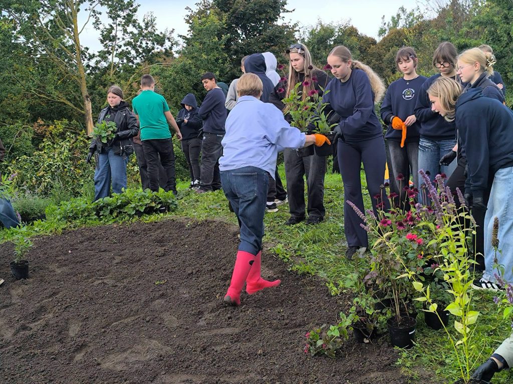 Students participating in a gardening project at the Bee Garden in the Youth Garden, planting flowers and plants to attract pollinators.