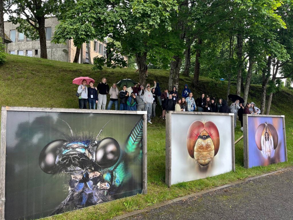 Group of people gathered under trees, some holding umbrellas, in front of large insect photographs at a cultural event. The image showcases vibrant macro photography of bees and beetles, highlighting traditional art and nature's beauty. Group of people gathered under trees, some holding umbrellas, in front of large insect photographs at a cultural event. The image showcases vibrant macro photography of bees and beetles, highlighting traditional art and nature's beauty.